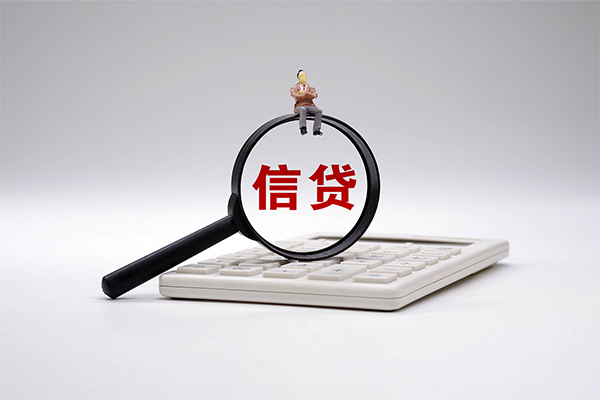 西安24大额短借